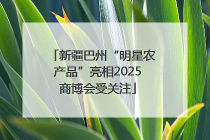 新疆巴州“明星农产品”亮相2025商博会受关注