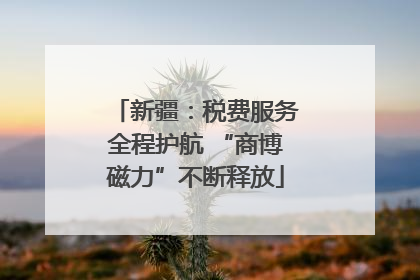 新疆：税费服务全程护航 “商博磁力”不断释放