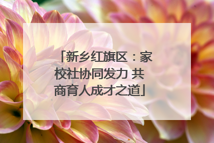 新乡红旗区：家校社协同发力 共商育人成才之道
