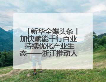 新华全媒头条丨加快赋能千行百业 持续优化产业生态——浙江推动人工智能健康有序发展观察