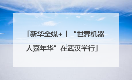 新华全媒+丨“世界机器人嘉年华”在武汉举行
