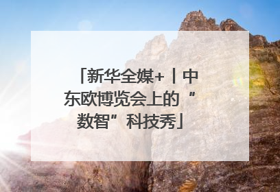 新华全媒+丨中东欧博览会上的“数智”科技秀