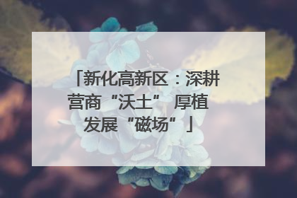 新化高新区：深耕营商“沃土” 厚植发展“磁场”