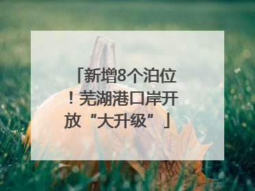 新增8个泊位！芜湖港口岸开放“大升级”