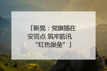 新晃：党旗插在安置点 筑牢防汛“红色堡垒”