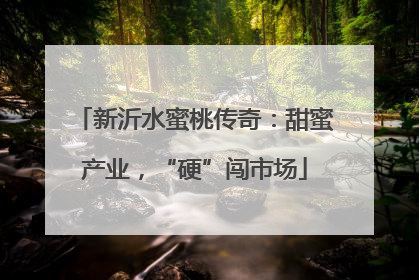 新沂水蜜桃传奇：甜蜜产业，“硬”闯市场