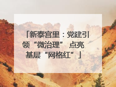 新泰宫里：党建引领“微治理” 点亮基层“网格红”