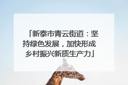新泰市青云街道：坚持绿色发展，加快形成乡村振兴新质生产力