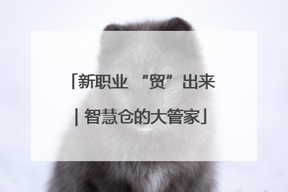 新职业 “贸”出来｜智慧仓的大管家