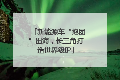 新能源车“抱团”出海，长三角打造世界级IP
