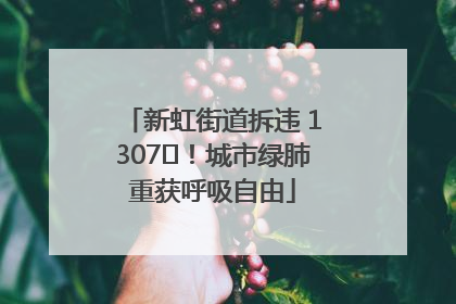 新虹街道拆违 1307㎡！城市绿肺重获呼吸自由