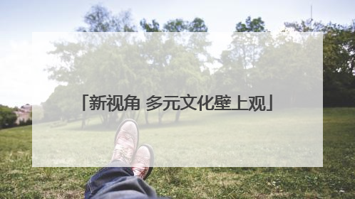 新视角 多元文化壁上观