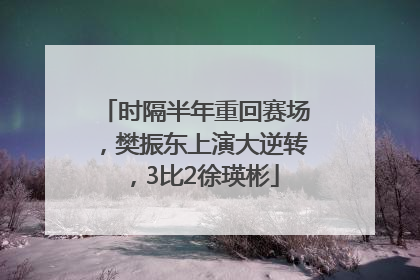 时隔半年重回赛场，樊振东上演大逆转，3比2徐瑛彬