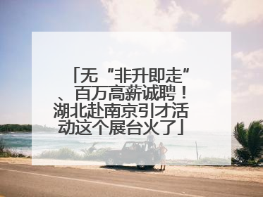 无“非升即走”、百万高薪诚聘！湖北赴南京引才活动这个展台火了