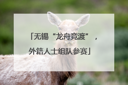 无锡“龙舟竞渡”，外籍人士组队参赛