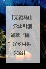 无锡马山：党建引领 铺就“梅”好乡村振兴路
