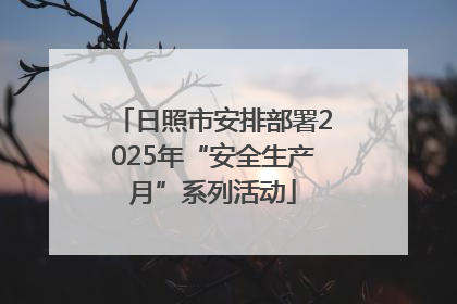 日照市安排部署2025年“安全生产月”系列活动