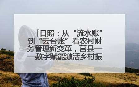 日照：从“流水账”到“云台账”看农村财务管理新变革，莒县——数字赋能激活乡村振兴“一池春水”