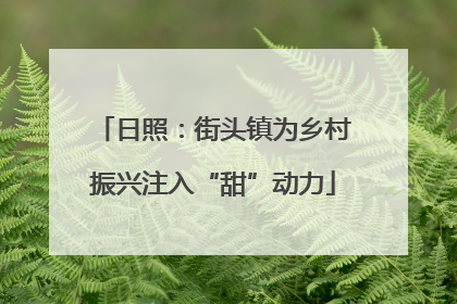 日照：街头镇为乡村振兴注入“甜”动力