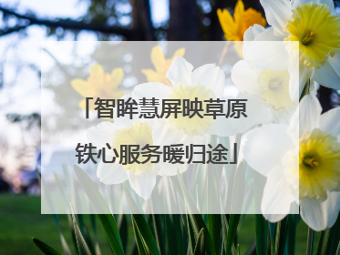 智眸慧屏映草原 铁心服务暖归途