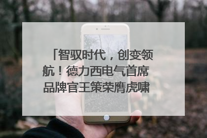智驭时代，创变领航！德力西电气首席品牌官王策荣膺虎啸奖年度品牌人物