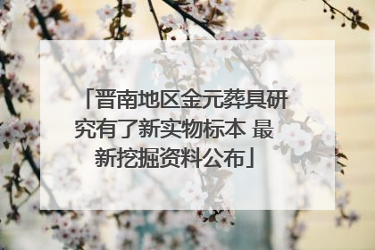 晋南地区金元葬具研究有了新实物标本 最新挖掘资料公布