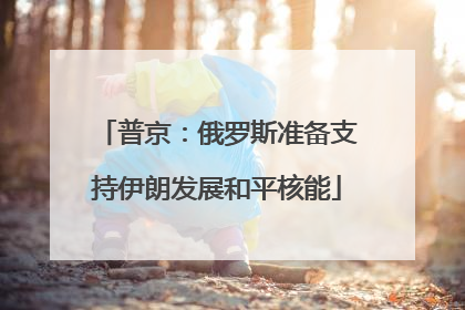 普京：俄罗斯准备支持伊朗发展和平核能