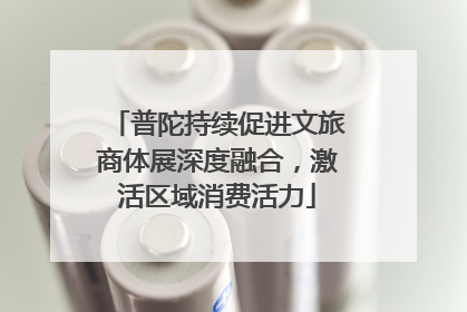 普陀持续促进文旅商体展深度融合，激活区域消费活力