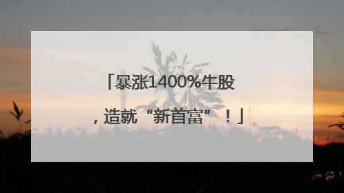 暴涨1400%牛股，造就“新首富”！
