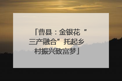 曹县：金银花“三产融合”托起乡村振兴致富梦