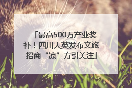 最高500万产业奖补！四川大英发布文旅招商“凉”方引关注