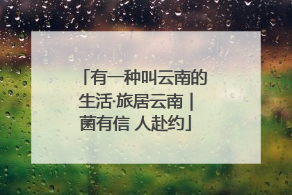 有一种叫云南的生活·旅居云南｜菌有信 人赴约
