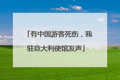 有中国游客死伤，我驻意大利使馆发声