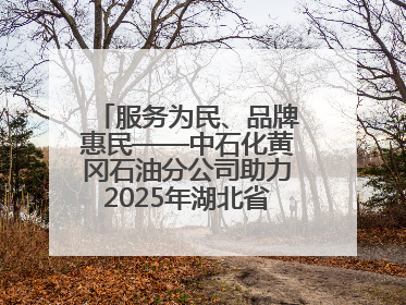 服务为民、品牌惠民——中石化黄冈石油分公司助力2025年湖北省龙舟公开赛（黄冈站）