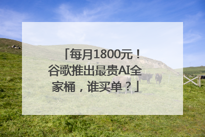 每月1800元！谷歌推出最贵AI全家桶，谁买单？
