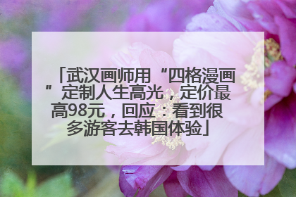 武汉画师用“四格漫画”定制人生高光，定价最高98元，回应：看到很多游客去韩国体验