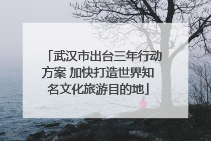武汉市出台三年行动方案 加快打造世界知名文化旅游目的地