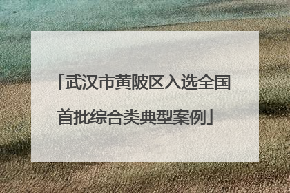 武汉市黄陂区入选全国首批综合类典型案例