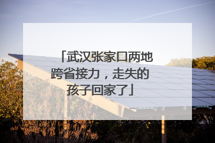 武汉张家口两地跨省接力，走失的孩子回家了