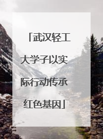 武汉轻工大学子以实际行动传承红色基因