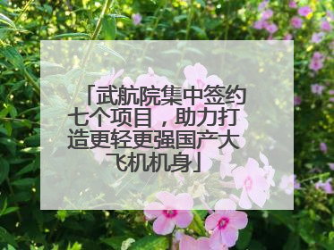 武航院集中签约七个项目，助力打造更轻更强国产大飞机机身