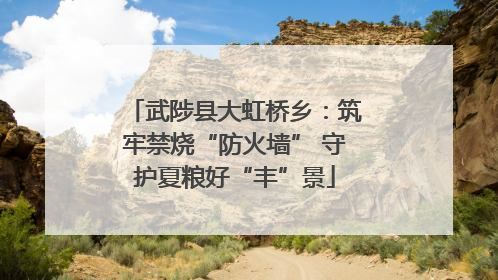 武陟县大虹桥乡：筑牢禁烧“防火墙” 守护夏粮好“丰”景