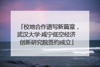 校地合作谱写新篇章，武汉大学·咸宁低空经济创新研究院签约成立