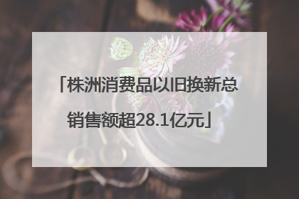 株洲消费品以旧换新总销售额超28.1亿元