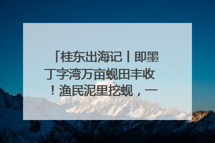 桂东出海记丨即墨丁字湾万亩蚬田丰收！渔民泥里挖蚬，一天上岸过千斤