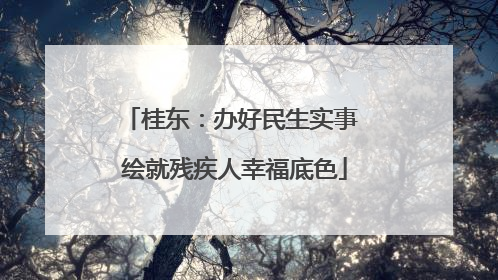 桂东：办好民生实事 绘就残疾人幸福底色