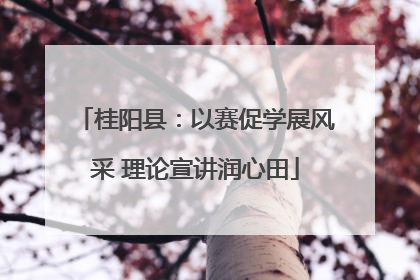 桂阳县：以赛促学展风采 理论宣讲润心田