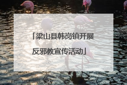 梁山县韩岗镇开展反邪教宣传活动