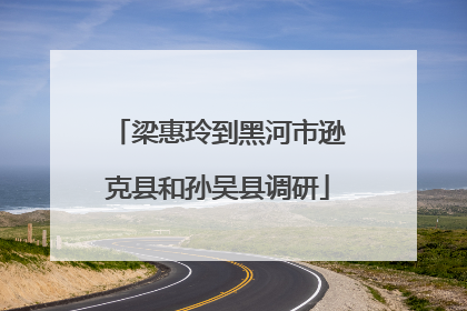 梁惠玲到黑河市逊克县和孙吴县调研