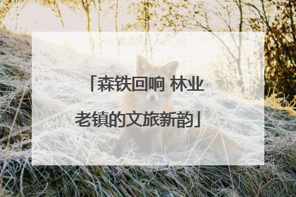 森铁回响 林业老镇的文旅新韵